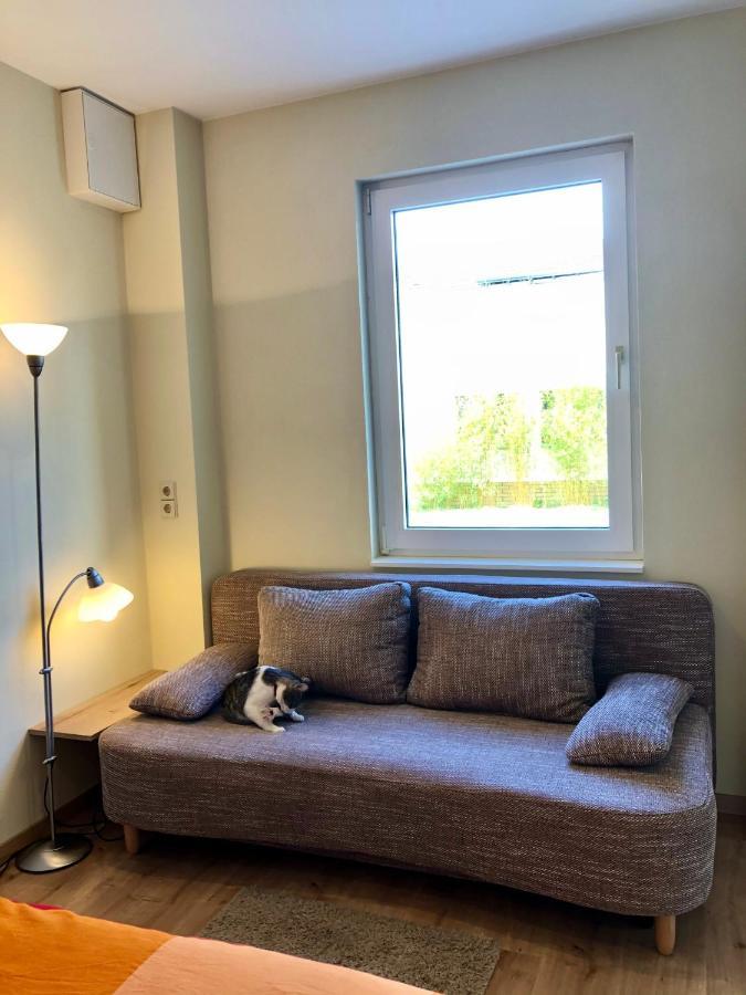 لبسيا Die Senfbude - Wunderschoene Apartments Fuer 4 Personen Mit Terrasse & Stellplatz المظهر الخارجي الصورة